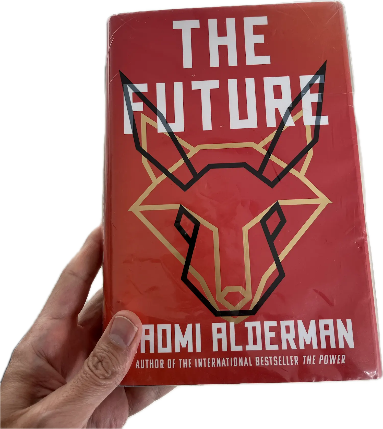 A hand holding a book, The Future